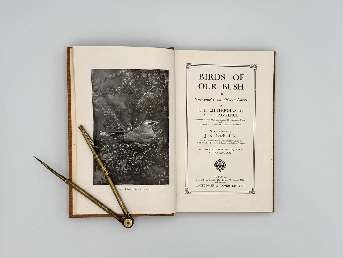 Birds of our bush, or, Photography for nature-lovers, Melbourne 1920 SIGNED3