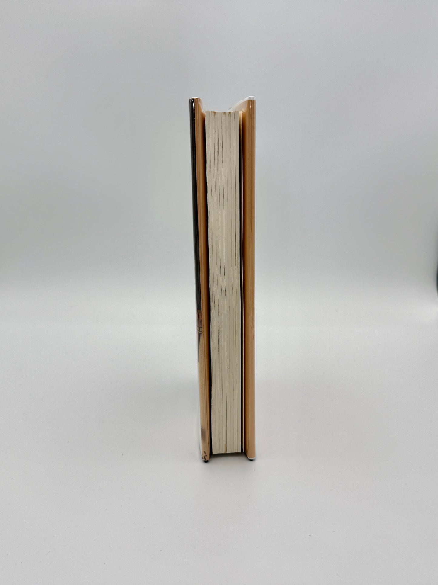 Kazuo Ishiguro - The Remains of the Day - Faber and Faber, London (1989)