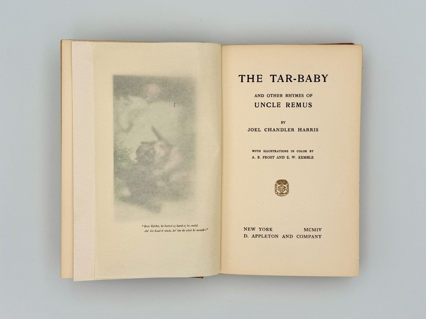1904 First Edition - Uncle Remus & Tar-Baby – Joel Chandler Harris – Illustrated3