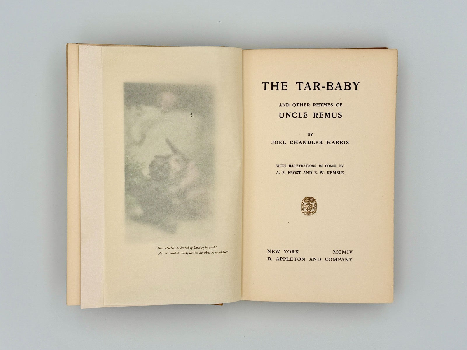 1904 First Edition - Uncle Remus & Tar-Baby – Joel Chandler Harris – Illustrated3
