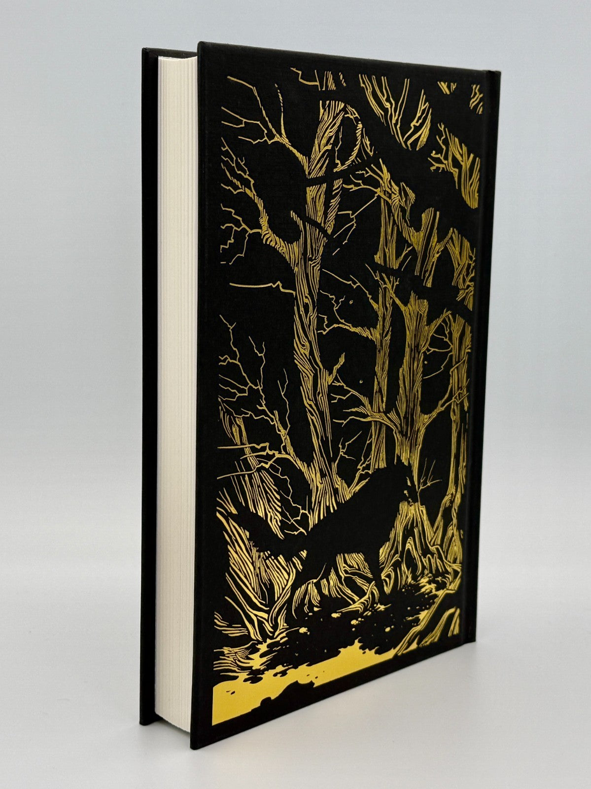 A Court of Thorns and Roses – Sarah J Maas - Collector’s Edition Hardcover, 20193