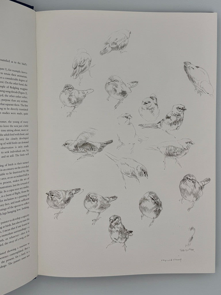 Studies & Sketches of a Bird Painter by Errol Fuller and Raymond Ching (1981)6