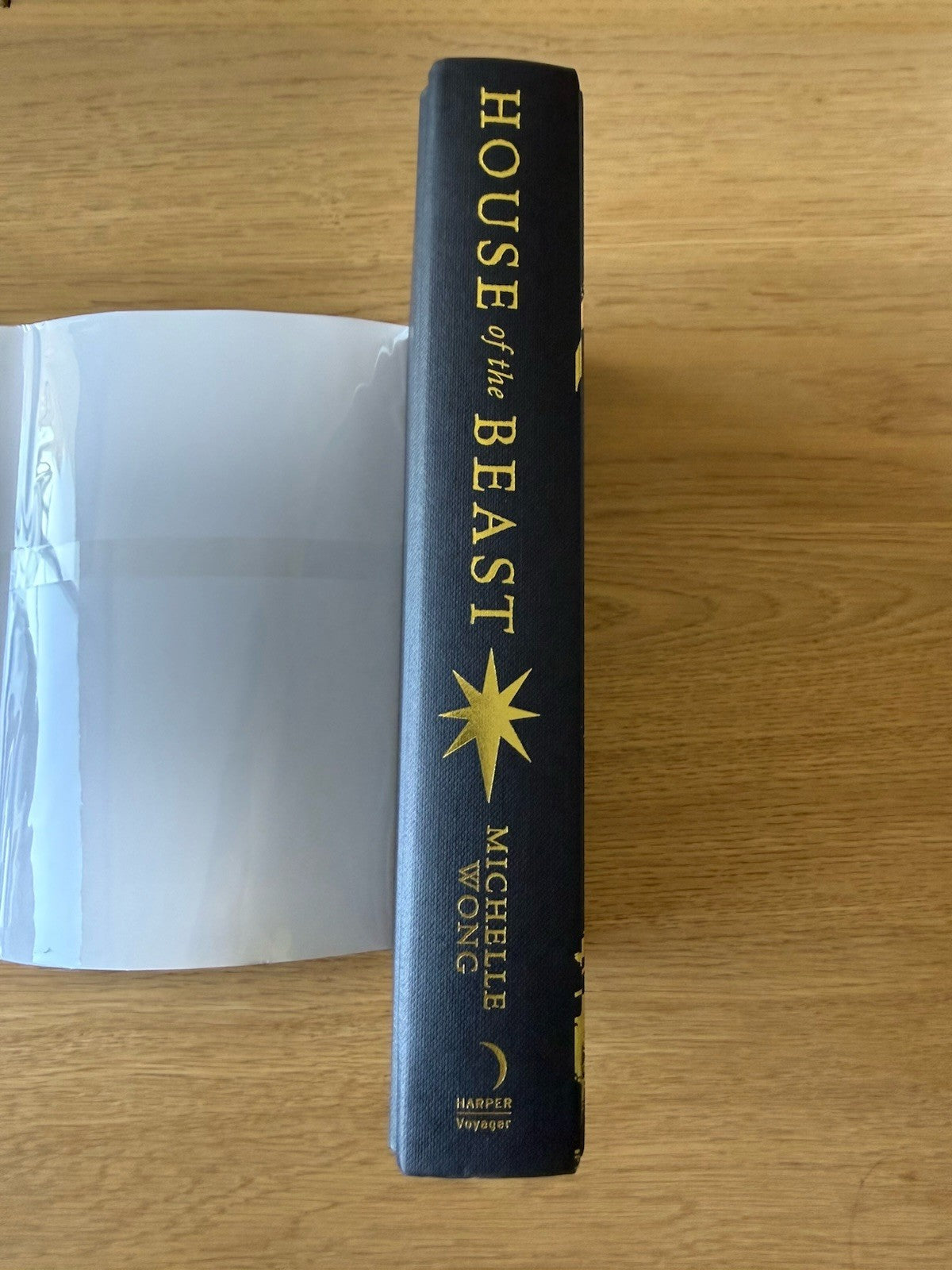 Michelle Wong  - House of the Beast - SIGNED EDITION7