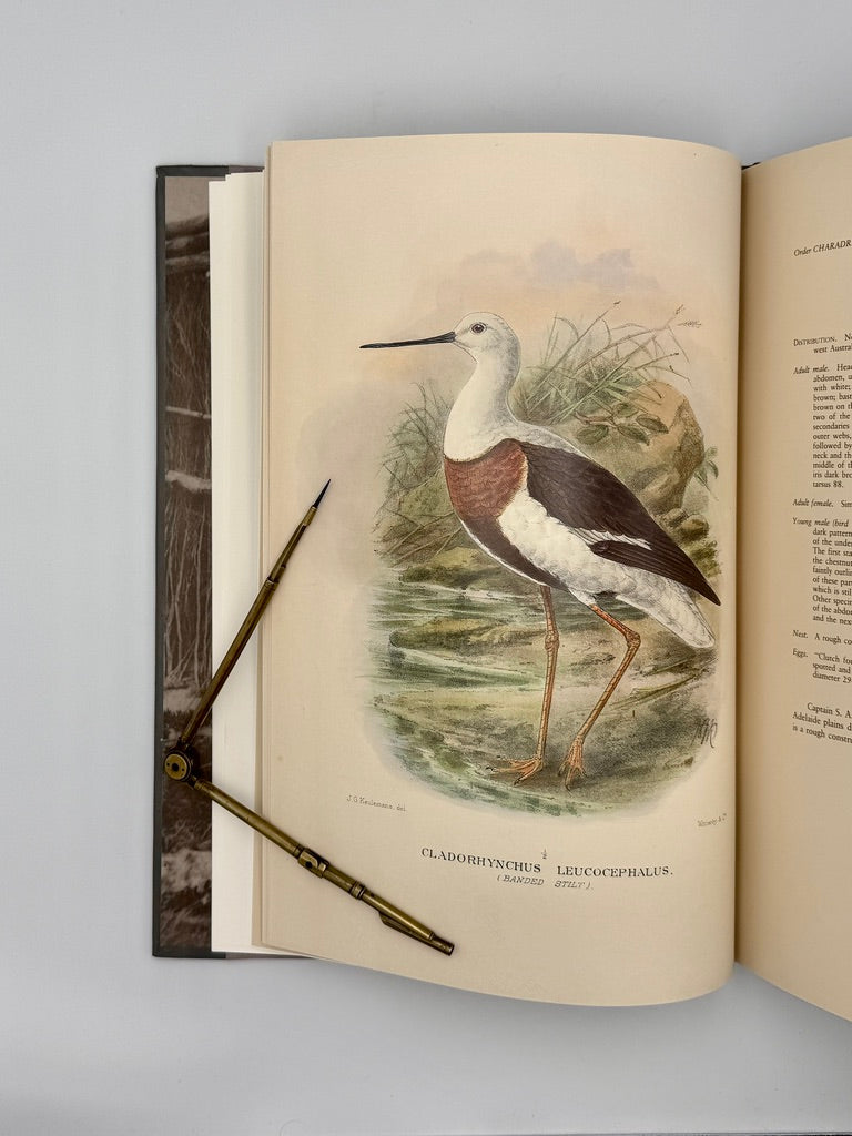 Gregory M. Mathews' - The Birds of Australia - S. A. White Collection (Number 108 of 500)
