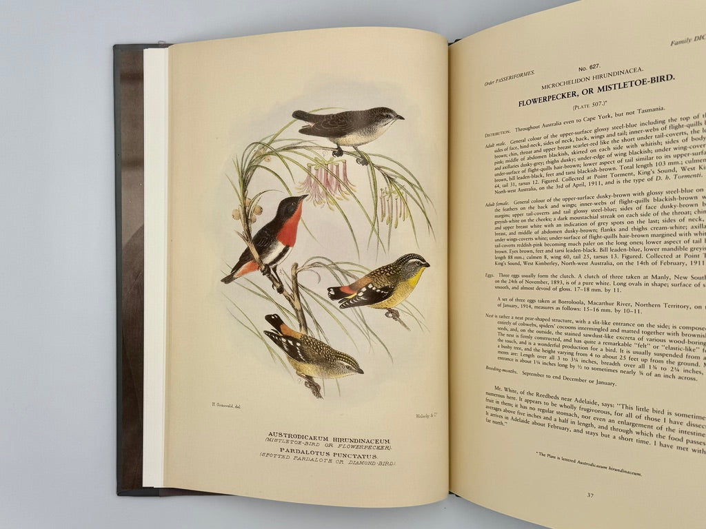 Gregory M. Mathews' - The Birds of Australia - S. A. White Collection (Number 108 of 500)